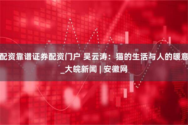 配资靠谱证券配资门户 吴云涛：猫的生活与人的暖意_大皖新闻 | 安徽网